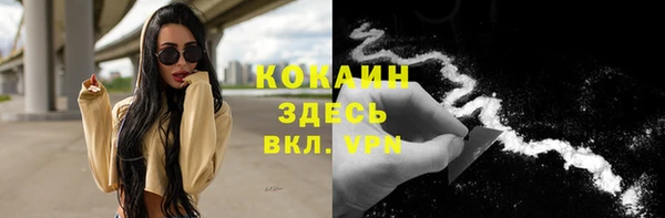 спайс Алексин