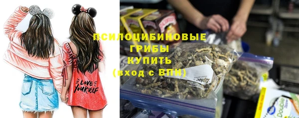 спайс Алексин