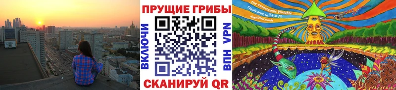 Псилоцибиновые грибы MAGIC MUSHROOMS  купить наркотик  Полярные Зори 