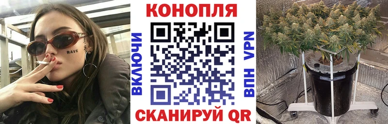 Каннабис марихуана  продажа наркотиков  ссылка на мегу ссылка  Полярные Зори 